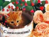 ����������� Inneska � ���� ��������!