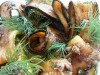 Цуккини с анчоусами и каперсами