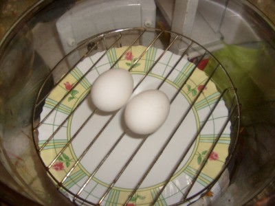Яйца в аэрогриле