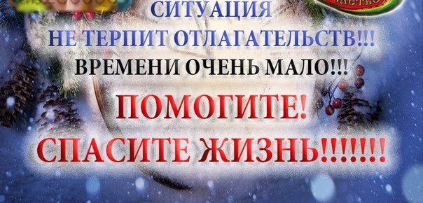 Ситуация терпит. Помогите спасти жизнь картинки. Помогите спасти жизнь кошке. Помогите спасти жизнь ребенка. Сос помогите спасти жизнь.