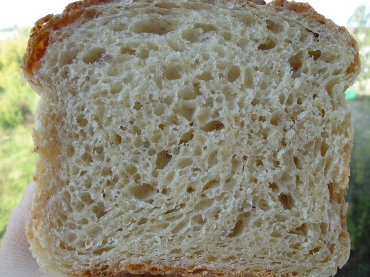 Овсяный хлеб разрез