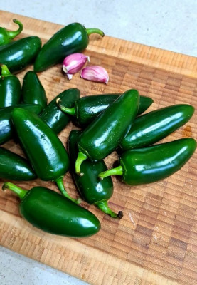 Маринованный халапеньо : Болгарский перец