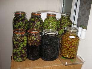 Оливки солёные : Разное