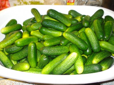 Огурчики всем по вкусу : Огурцы