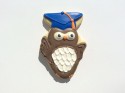 Graduation cookie