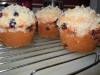 Best blueberry muffins/   